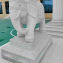 苏州 白麻花岗岩动物异形石雕-大象