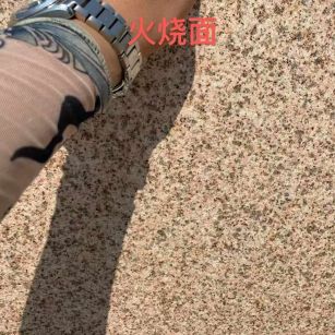 苏州黄金麻火烧面